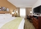 Marriott Chicago Midway - The standard room with a king size bed includes plush bedding, a spacious work desk, and a 32-inch flat-screen TV.