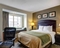 Comfort Inn & Suites Dulles Gateway - The standard queen room includes a 37