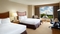Hilton Washington Dulles Airport - The standard, spacious room includes free WIFI, flat screen TV and a coffee maker.