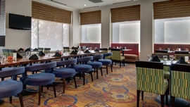 Hilton Garden Inn Detroit Metro Airport- Romulus MI Hotels- Airport