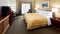 Country Inn & Suites Newark International Airport - Standard king room comes with microwave, refrigerator, and coffee maker.